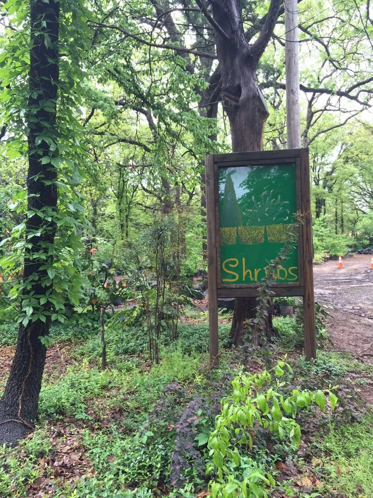 Affordable yard maintenance in Edmond, OK - Cottage Supply & Plants