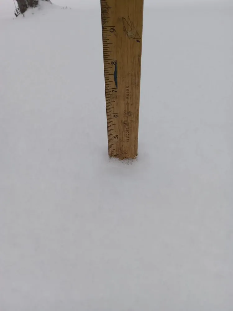 Custom yard cleanup service with custom design in Easton, MA by Cottam's Landscaping