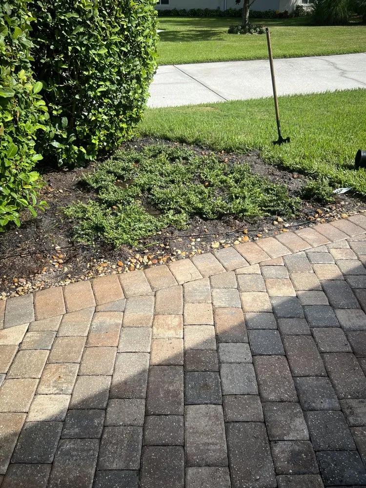 Reliable landscape design in Jacksonville, FL - Cotto Lawn Services