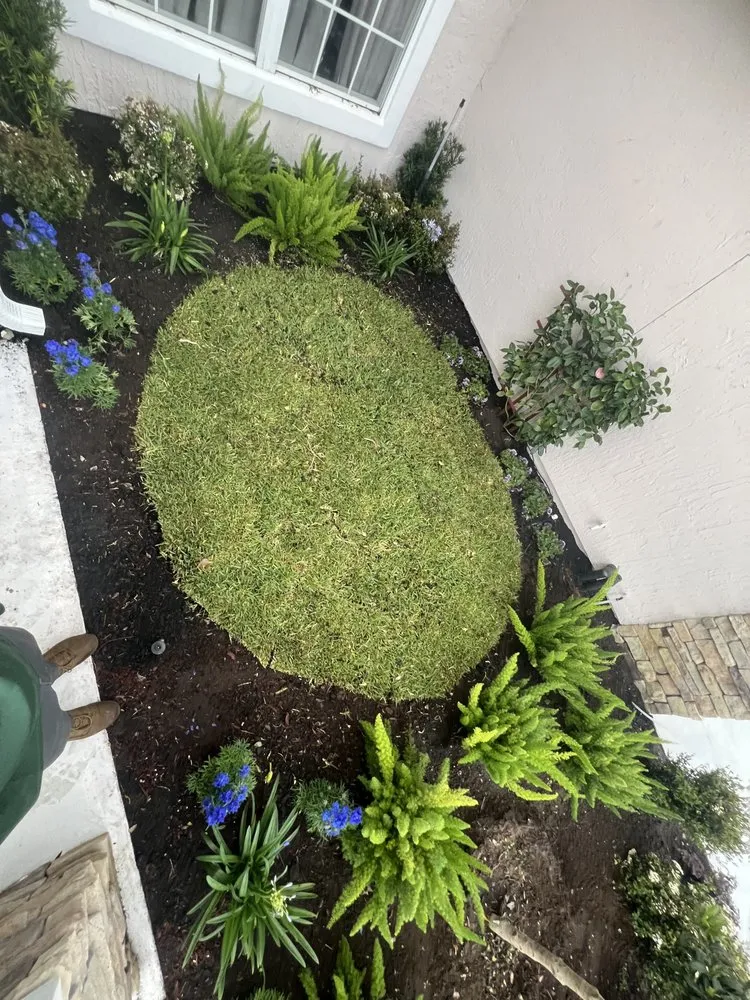 Expert landscaping services in Jacksonville, FL by Cotto Lawn Services