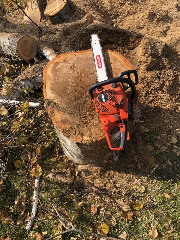 Expert landscape design with custom design across Bloomington, IL - Cotton Can Do