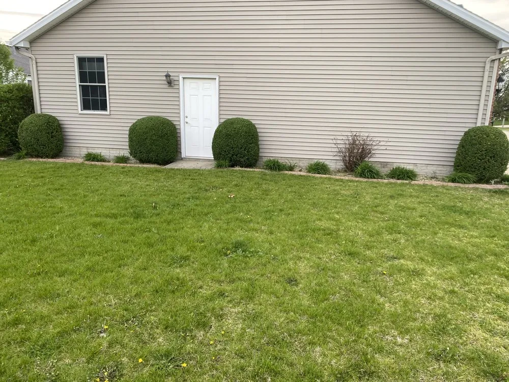 Top-rated yard cleanup service in Bloomington, IL - Cotton Can Do