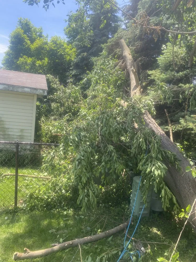 Local residential landscaping in Bloomington, IL - Cotton Can Do