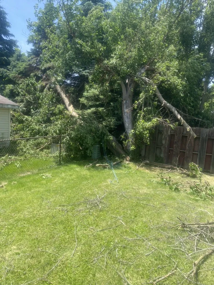 Local yard maintenance for year-round maintenance in Bloomington, IL by Cotton Can Do