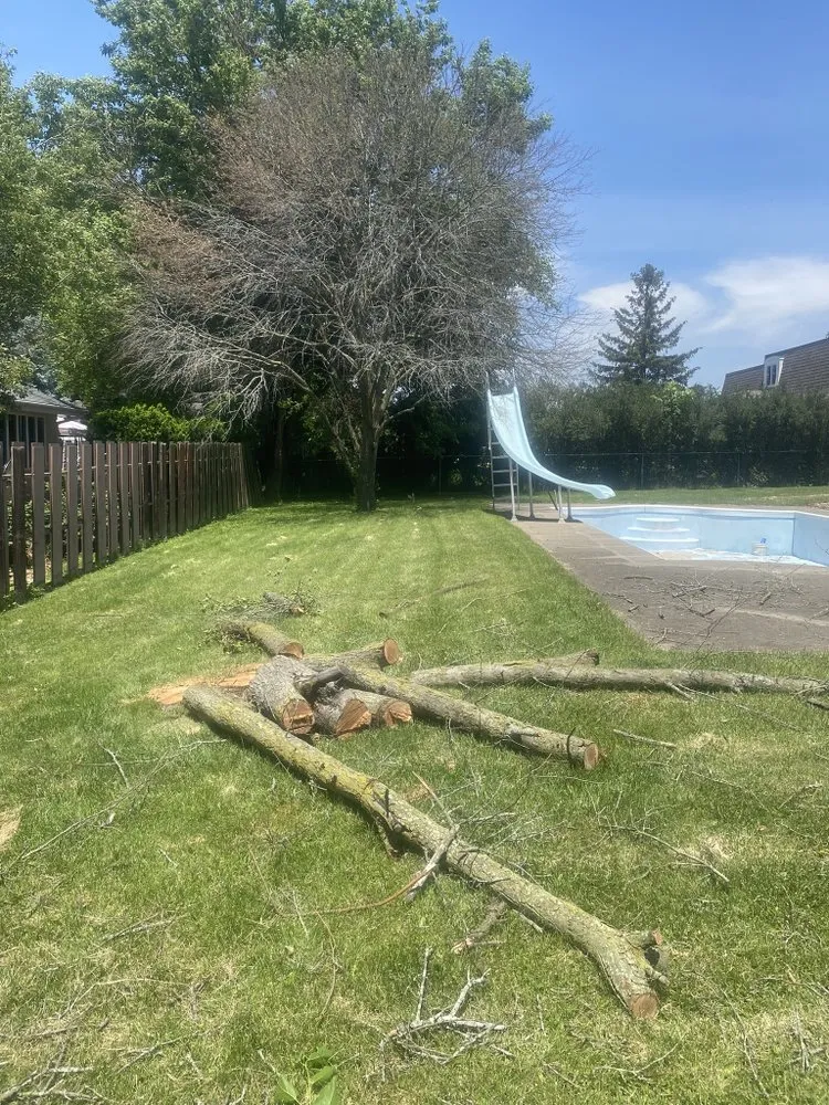 Professional landscape installation for year-round maintenance across Bloomington, IL - Cotton Can Do