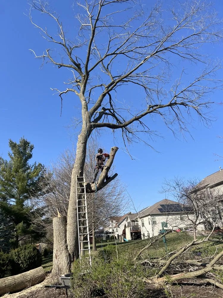 Reliable landscape design experts serving Bloomington, IL - Cotton Can Do