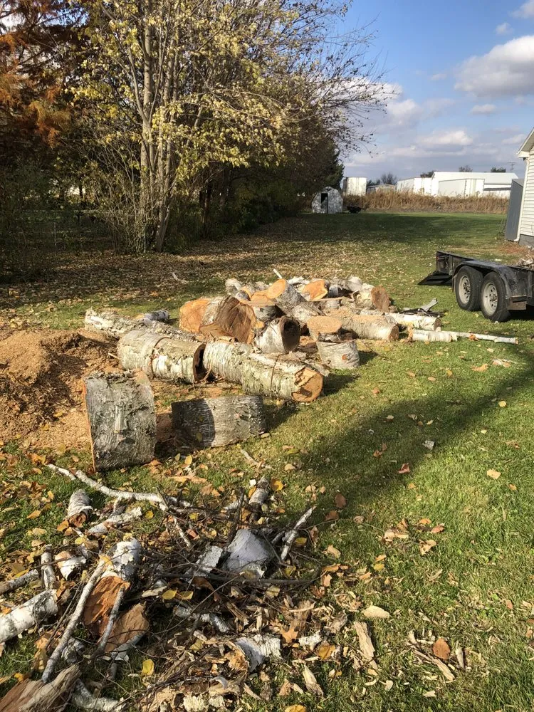 Top-rated lawn mowing service in Bloomington, IL by Cotton Can Do