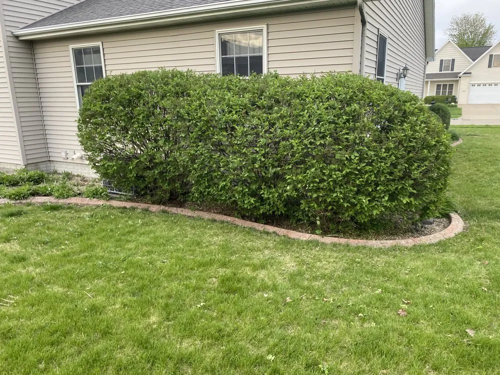 Trusted landscape design in Bloomington, IL - Cotton Can Do