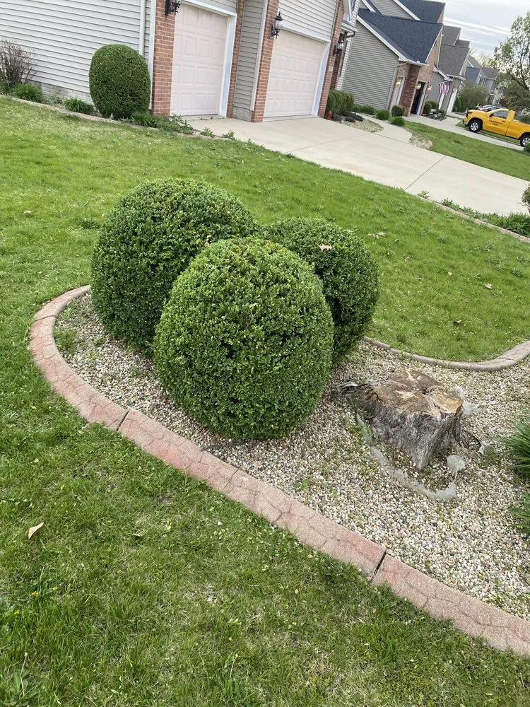 Expert landscaping services for beautiful yards across Bloomington, IL - Cotton Can Do