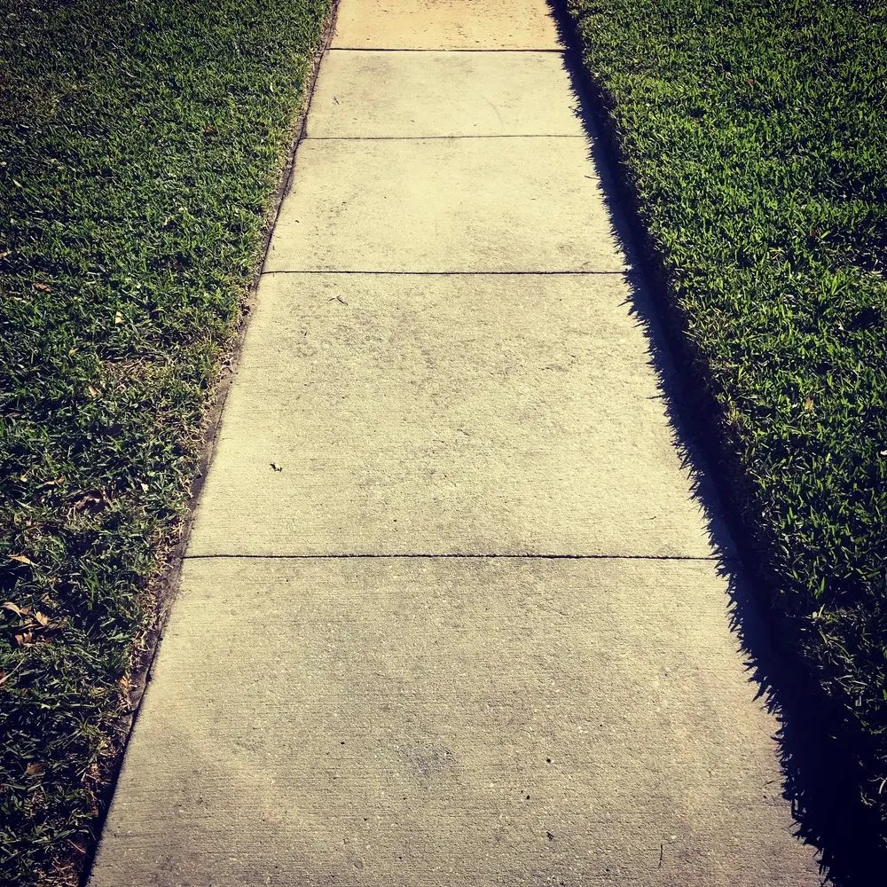 Affordable lawn mowing service in Orlando, FL - Cotton Pickin lawn care