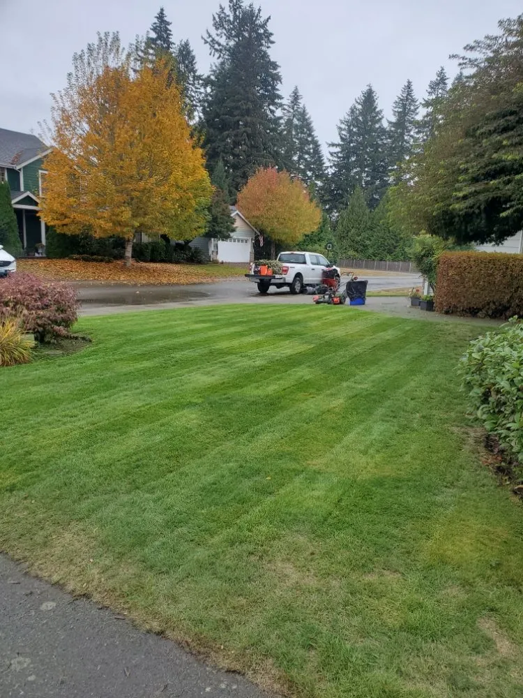 Top-rated yard cleanup service experts serving Lacey, WA - Cottonwood Home Services