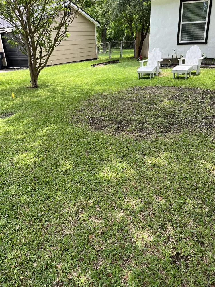 Professional landscaping services experts serving Waco, TX - Cottonwood Landscaping