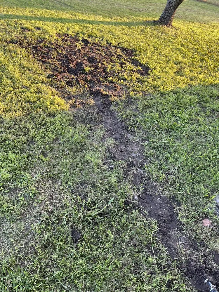 Trusted landscaping services in Waco, TX by Cottonwood Landscaping