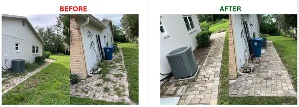 Cotto's Elite Lawn Care Logo