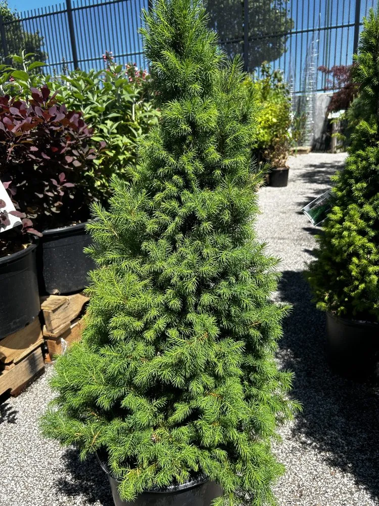 Local outdoor landscaping near you across Painesville, OH - Cottos Landscaping