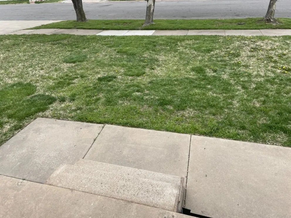 Expert landscape design near you across Wichita, KS - COTY’S Trusted Lawn & Handyman Service