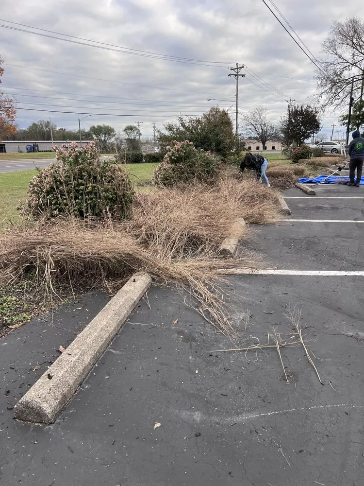 Expert yard maintenance in Nashville, TN by Cotzalo Landscaping