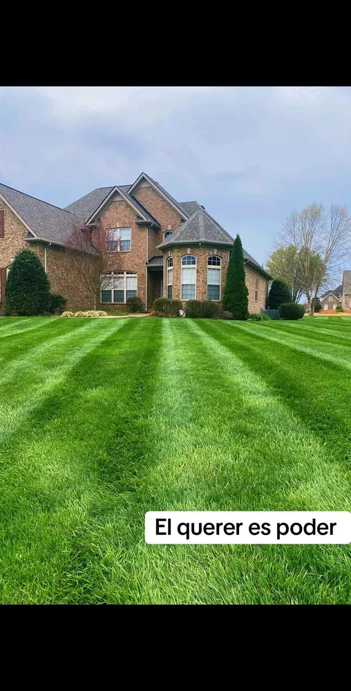 Trusted yard cleanup service near you across Nashville, TN - Cotzalo Landscaping