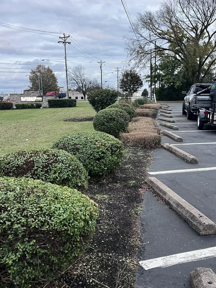 Custom landscape design for residential properties in Nashville, TN by Cotzalo Landscaping