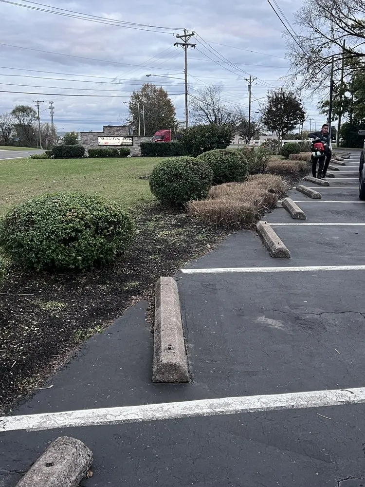 Trusted landscape installation in Nashville, TN - Cotzalo Landscaping