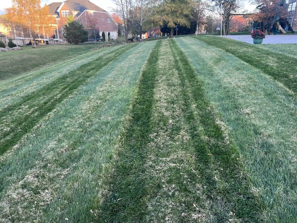 Custom landscape design experts serving Nashville, TN - Cotzalo Landscaping