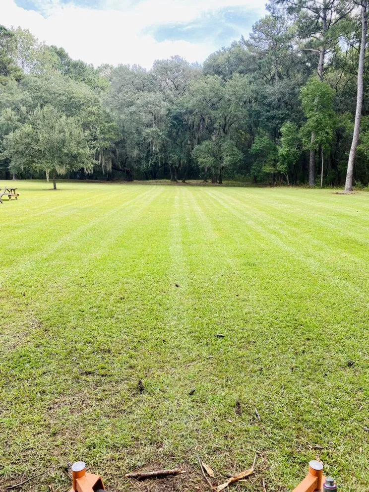 Reliable landscaping services for year-round maintenance across Port Royal, SC - Couch Landscaping