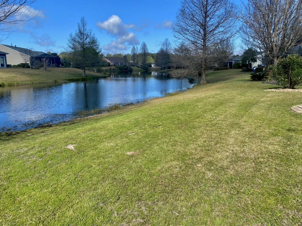 Local yard cleanup service experts serving Port Royal, SC - Couch Landscaping
