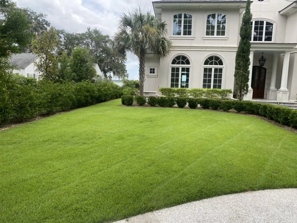 Trusted yard maintenance near you across Port Royal, SC - Couch Landscaping