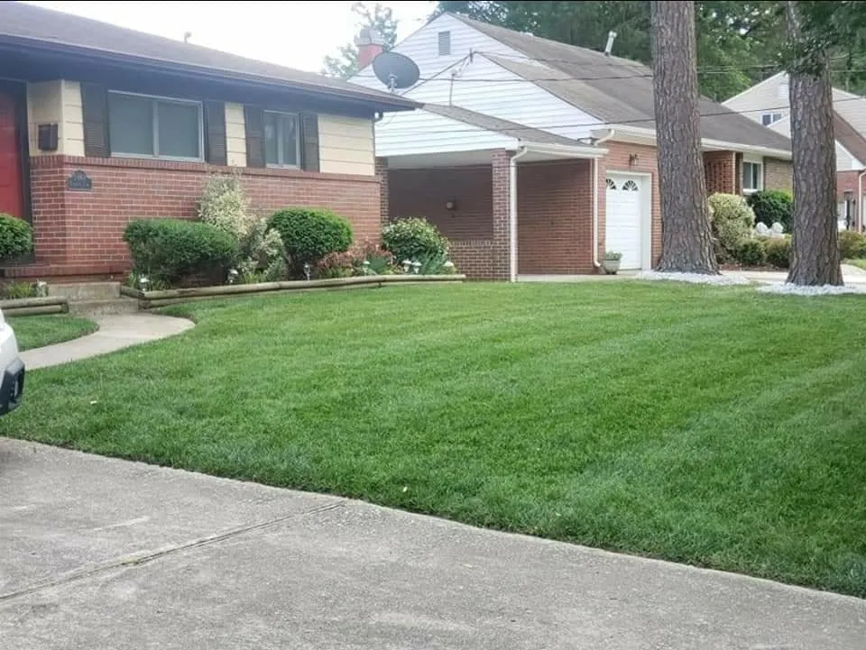Top-rated yard cleanup service for residential properties across Dayton, TN - Couchs LawnCare