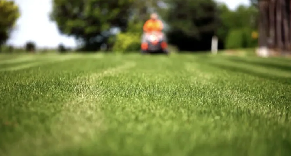 Custom yard cleanup service for outdoor upgrades across Dayton, TN - Couchs LawnCare