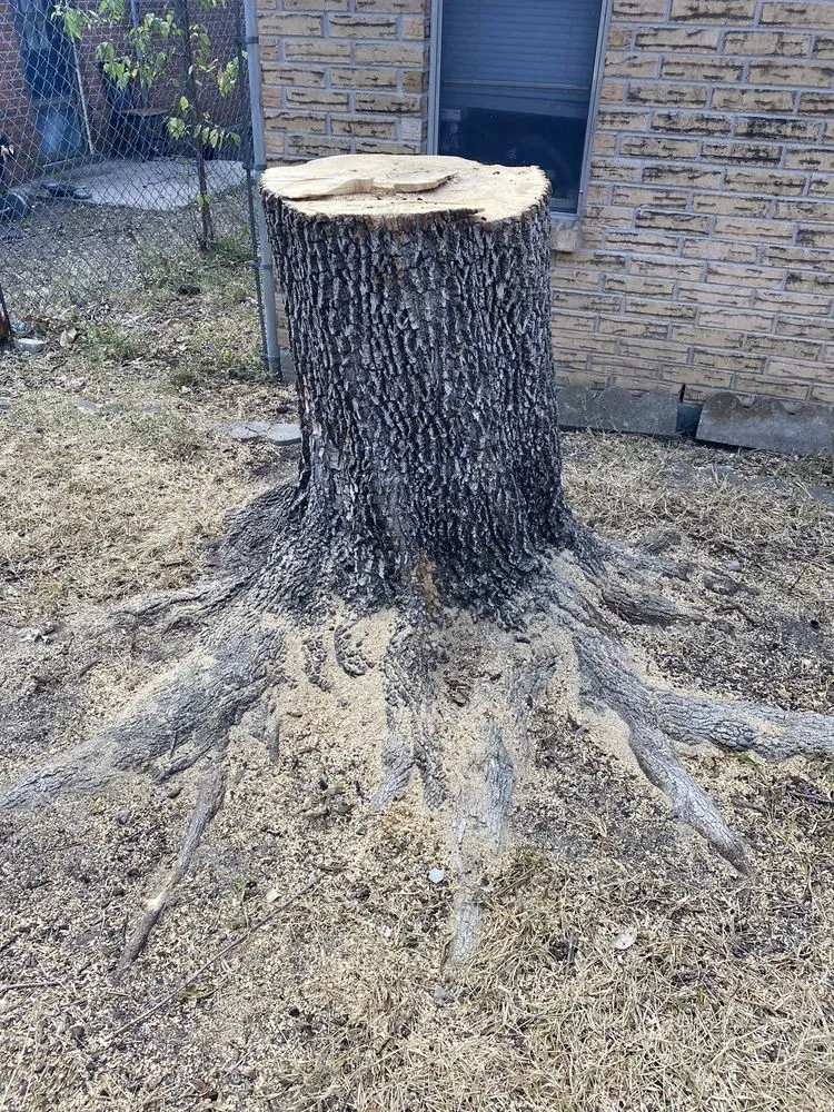 Top-rated landscaping services in Belton, TX by Coufal Landscapes