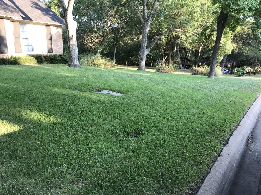 Professional lawn care service in Belton, TX - Coufal Landscapes