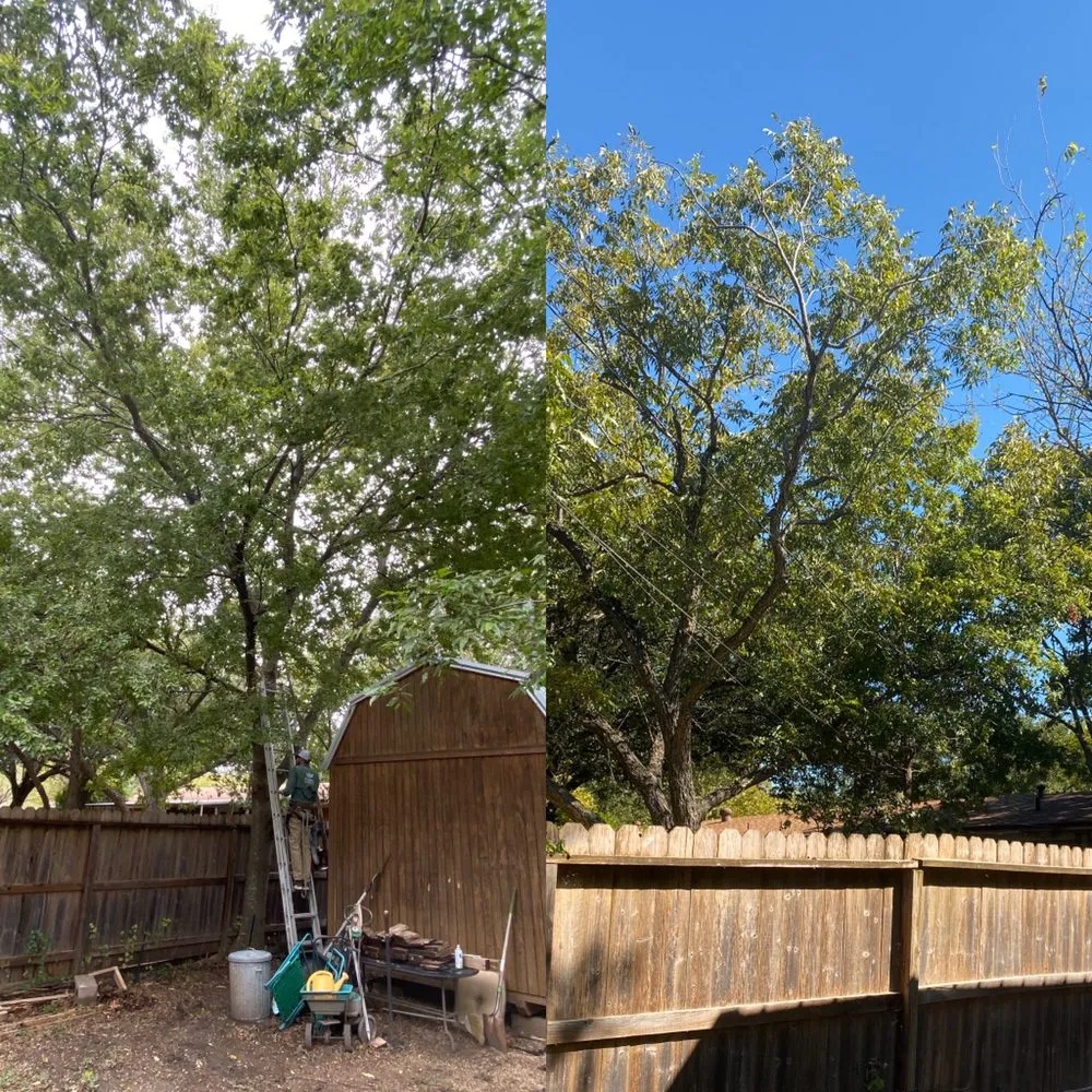 Local landscaping services for outdoor upgrades across Belton, TX - Coufal Landscapes