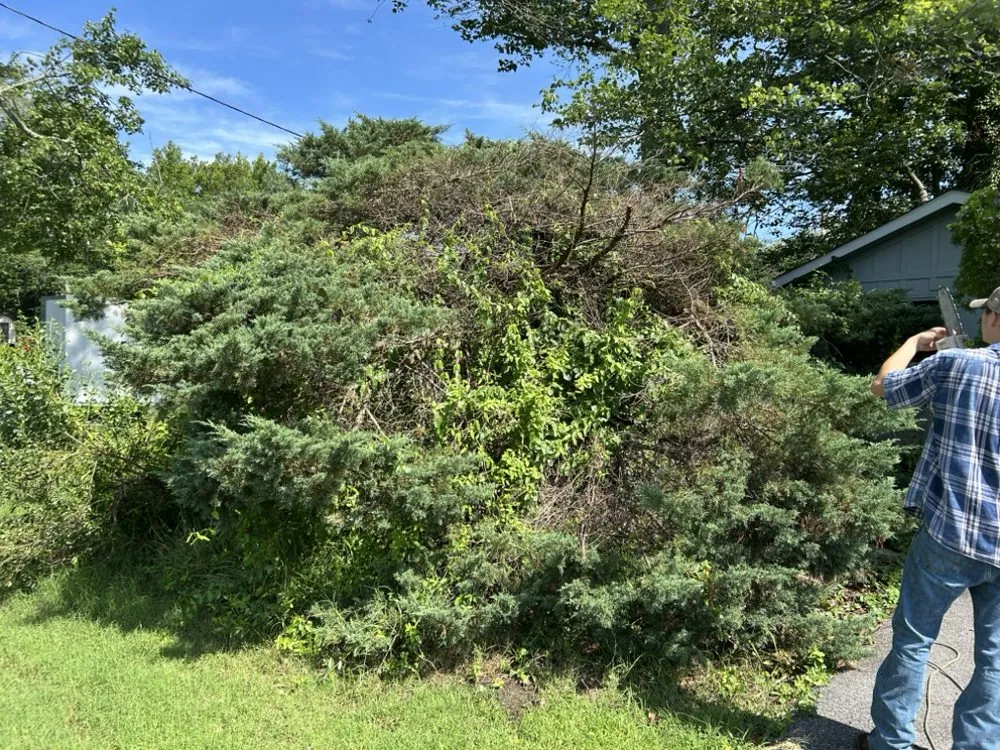 Local landscaping services experts serving La Plata, MD - Coulby & Smith