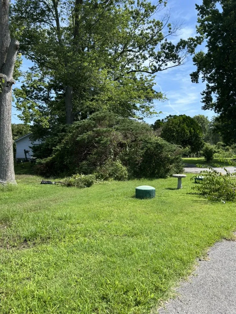 Reliable yard maintenance experts serving La Plata, MD - Coulby & Smith