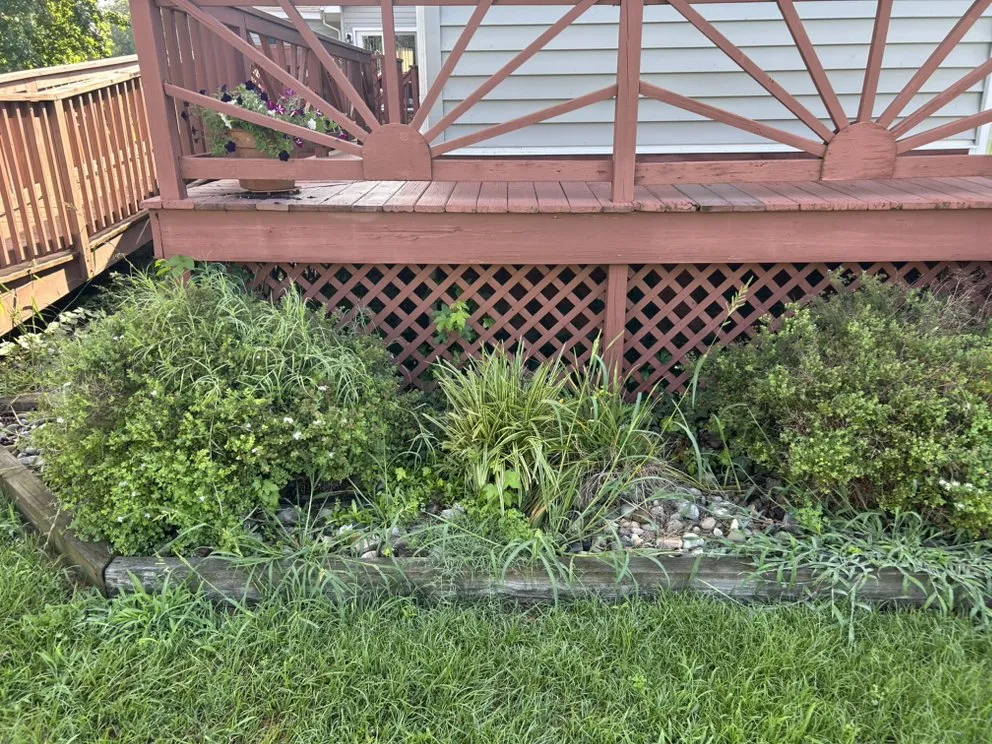 Custom garden landscaping for year-round maintenance across La Plata, MD - Coulby & Smith