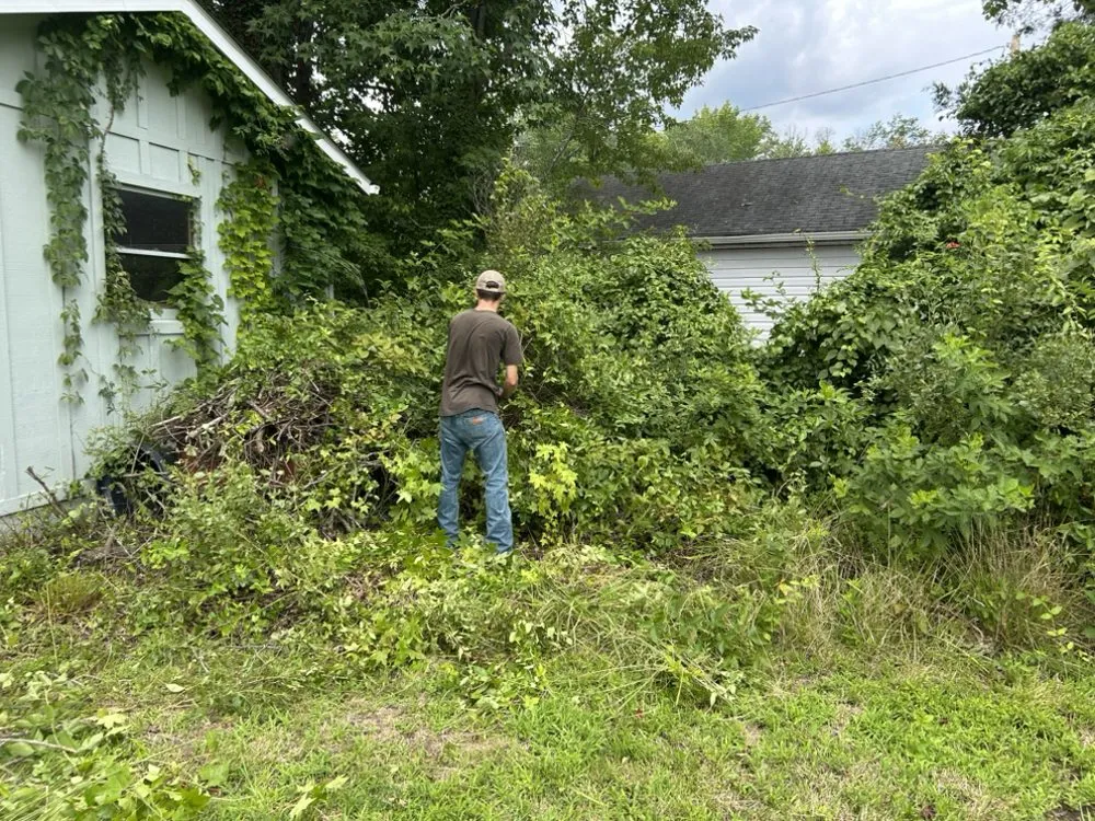 Top-rated yard maintenance in La Plata, MD - Coulby & Smith