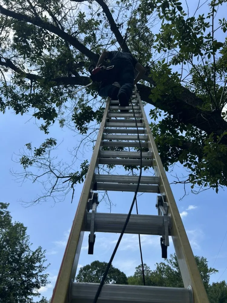 Expert lawn care service for year-round maintenance in La Plata, MD by Coulby & Smith