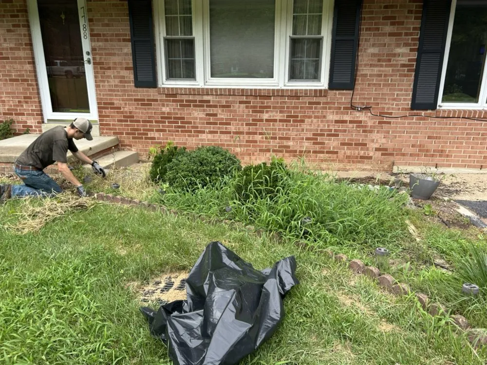 Top-rated yard cleanup service experts serving La Plata, MD - Coulby & Smith
