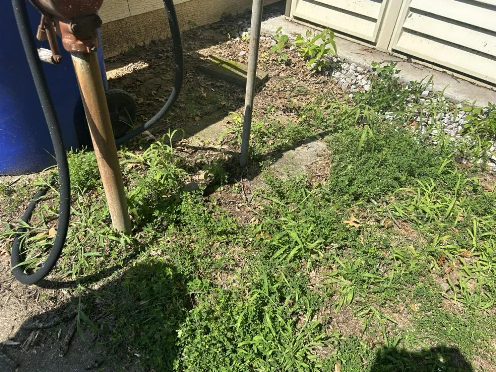 Affordable yard cleanup service for beautiful yards across La Plata, MD - Coulby & Smith
