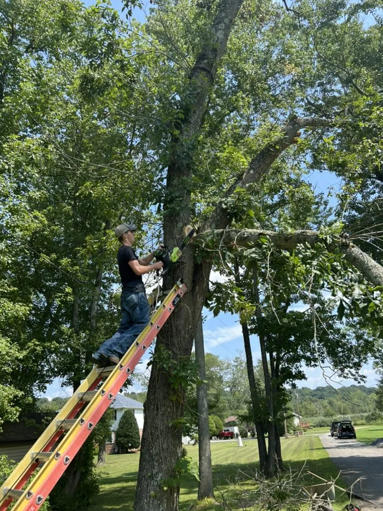 Expert yard maintenance in La Plata, MD - Coulby & Smith