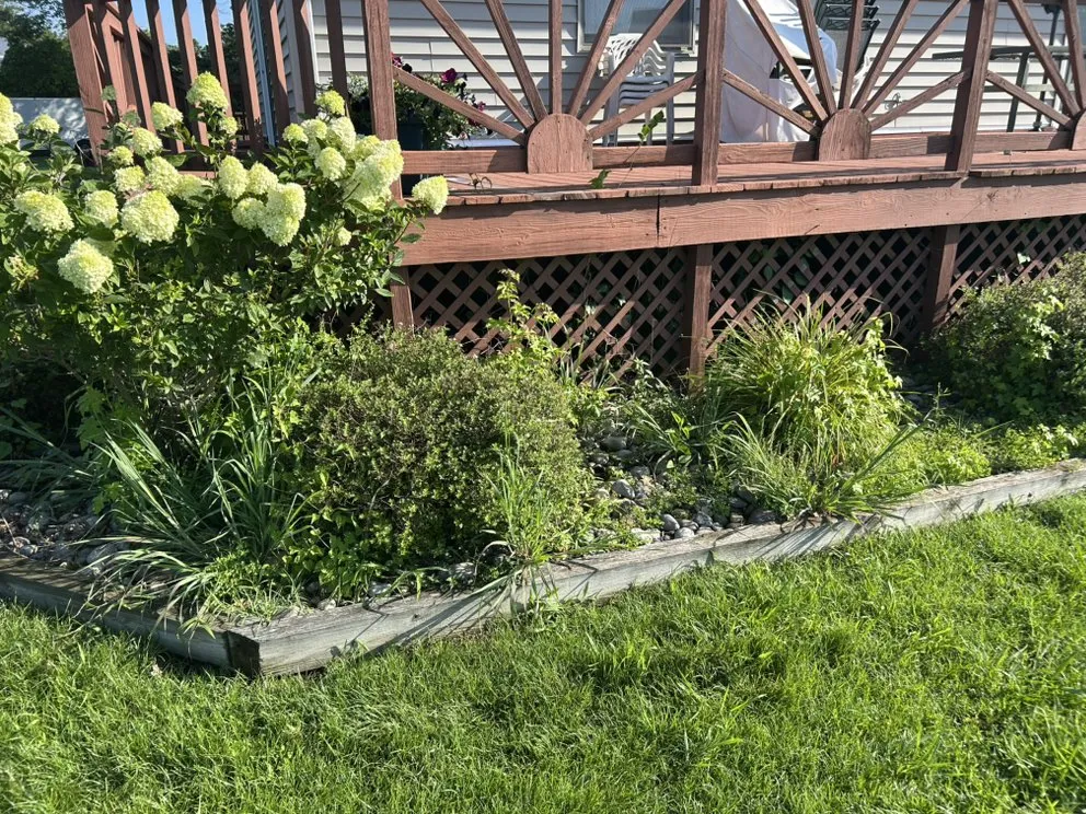 Expert lawn mowing service experts serving La Plata, MD - Coulby & Smith