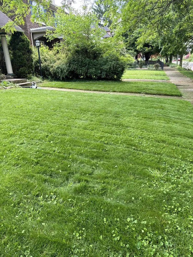 Custom lawn care service in Akron, OH by Coulter Lawn