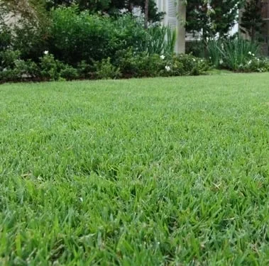 Custom landscape design in Ruskin, FL - Council Growers Sod