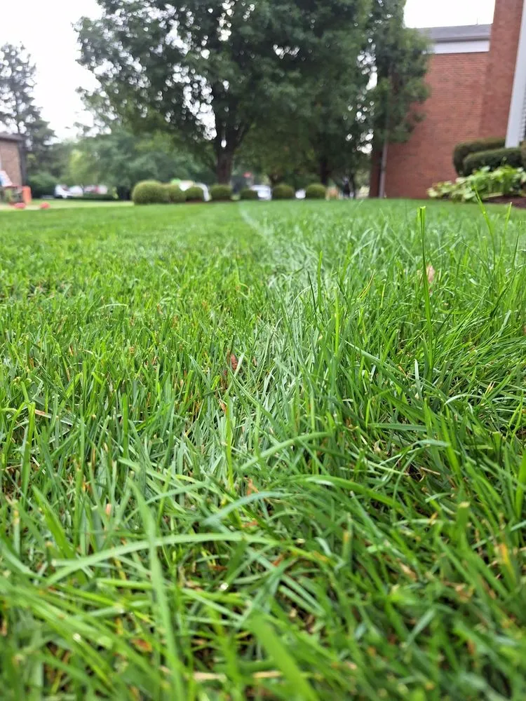 Local landscape design experts serving Peoria, IL - Count on Creasy Landscaping