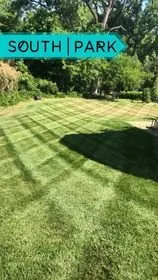 Counter Stripe Landscape