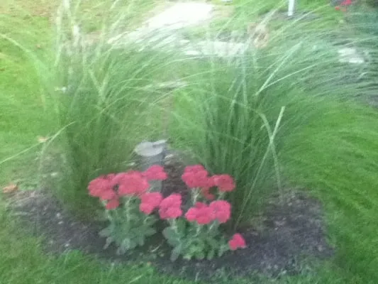 Country Acres Landscaping & Lawn Care