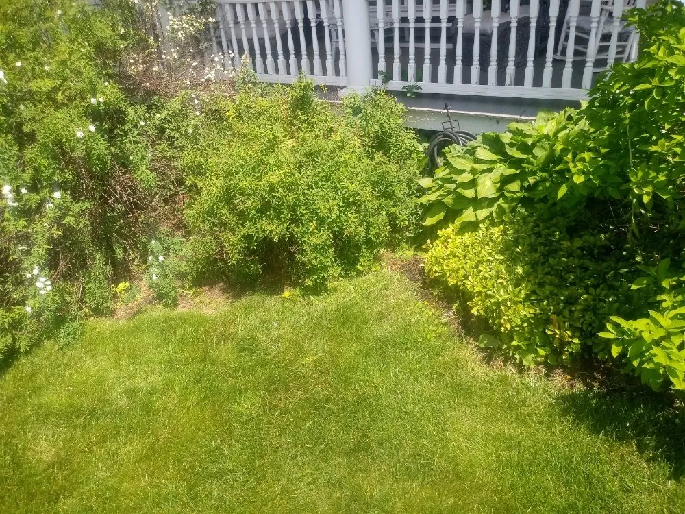 Reliable lawn care service in Delta, PA - Country Air Lawn Care