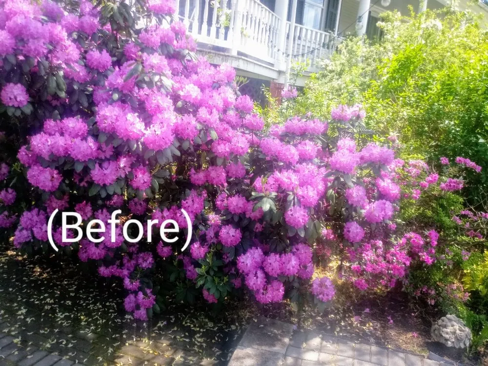 Local outdoor landscaping for outdoor upgrades across Delta, PA - Country Air Lawn Care