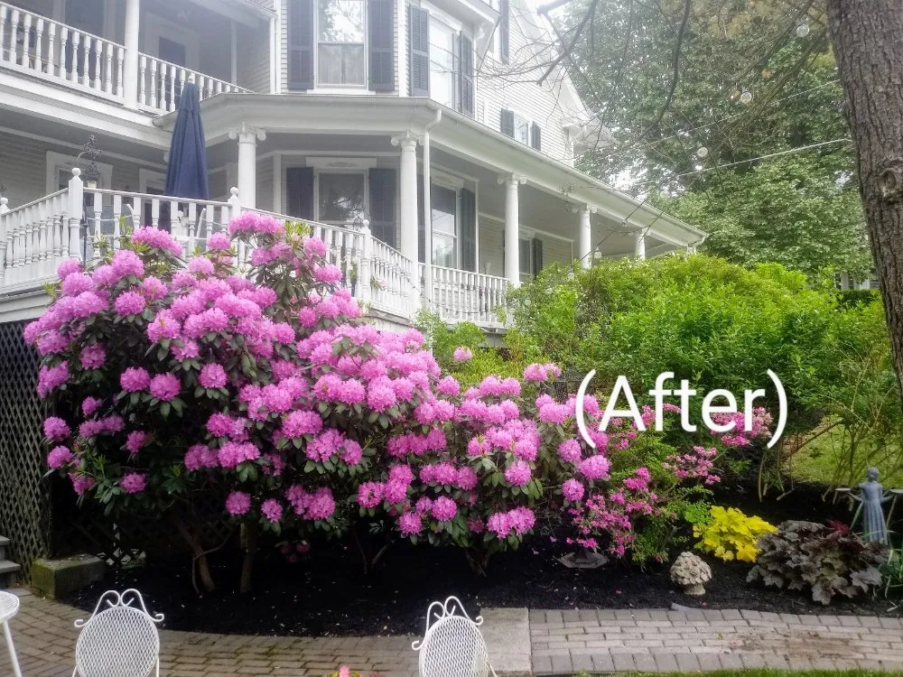 Reliable landscaping services experts serving Delta, PA - Country Air Lawn Care